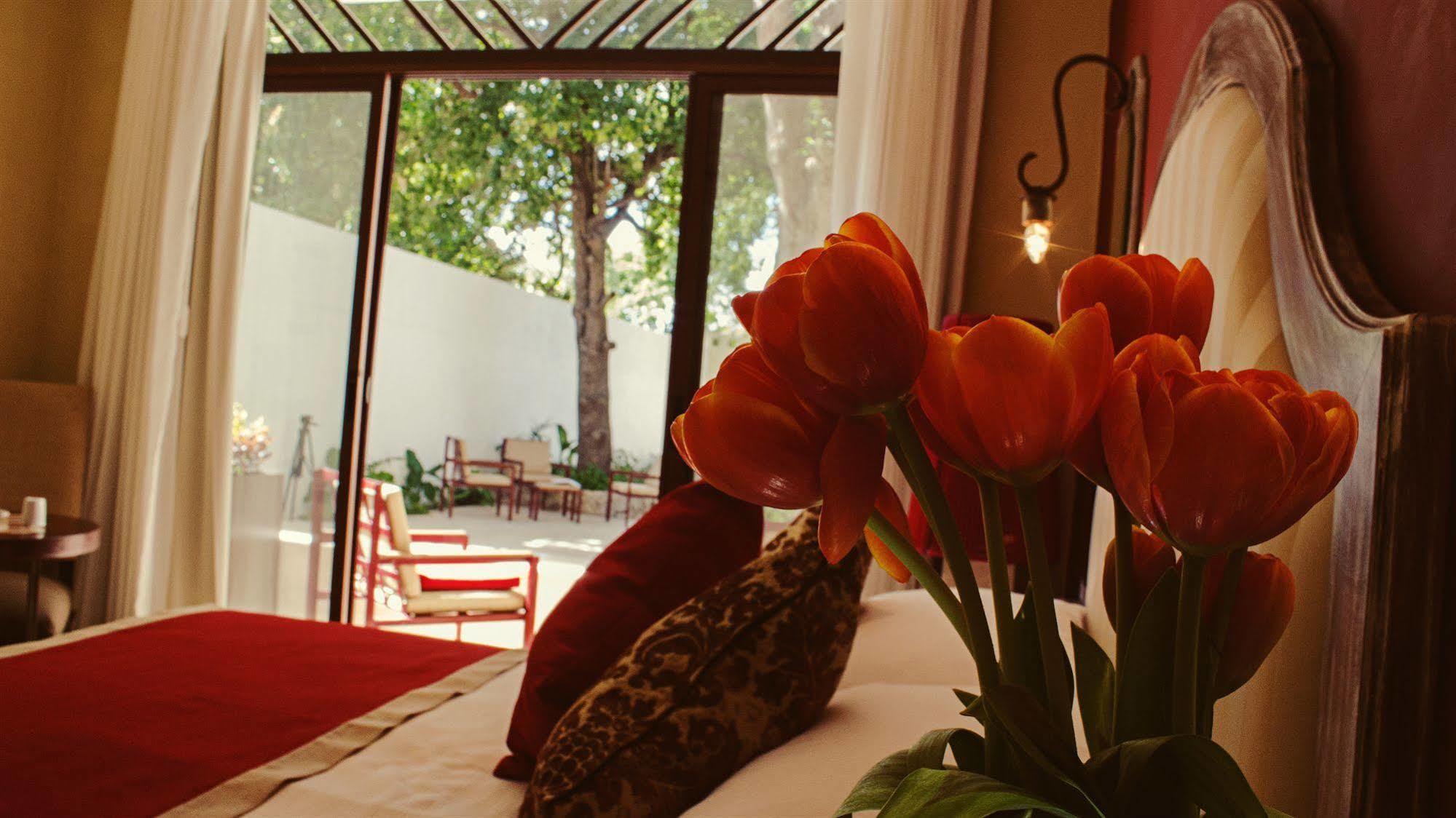 Casa Italia Luxury Guest House - Adults Only ميريدا المظهر الخارجي الصورة